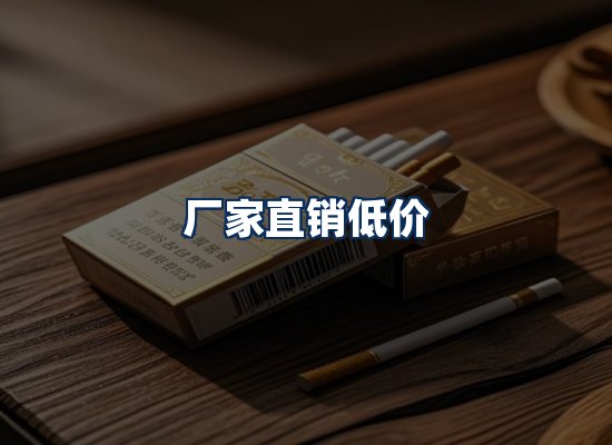 专业团队办公环境